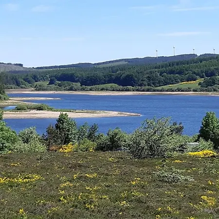 De La Foret Le Soulié