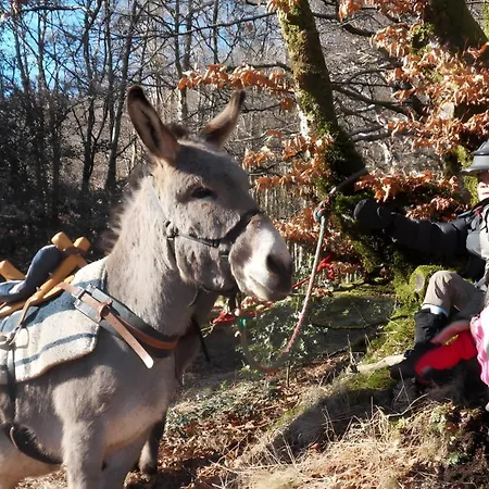 De La Foret