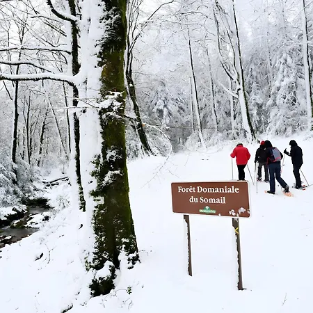 De La Foret Сasa de vacaciones