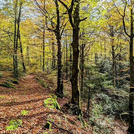 Сasa de vacaciones De La Foret *
